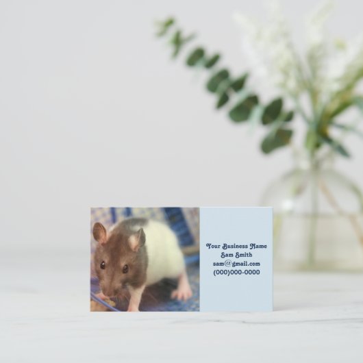 Babyratte Visitenkarte (Stehend Vorderseite)