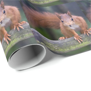 Babyrot Einschlagpapier Geschenkpapier