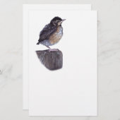 Babyrotkehlchen Briefpapier (Vorne/Hinten)