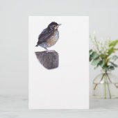 Babyrotkehlchen Briefpapier (Stehend Vorderseite)