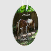 Baby's 1. Weihnachtshorn Akryler Ornament (Vorderseite)