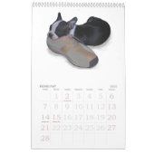 Babys Bostons Terrier Kalender (Feb 2027)