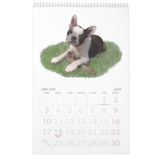 Babys Bostons Terrier Kalender (Jan 2027)