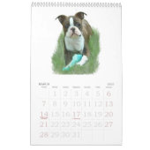 Babys Bostons Terrier Kalender (Mär 2027)