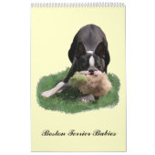 Babys Bostons Terrier Kalender (Titelbild)
