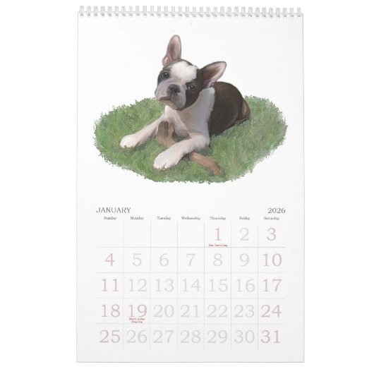 Babys Bostons Terrier Kalender (Jan 2026)