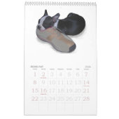 Babys Bostons Terrier Kalender (Feb 2026)