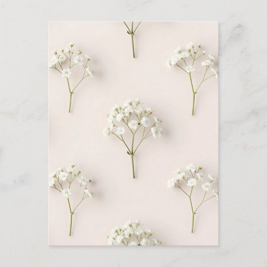 Baby's Breath Delicate Neutral Pattern Postkarte (Vorderseite)