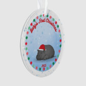 Baby's First Christmas -Hippo Acrylic Ornament (Vorderseite)