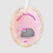 Baby's First Christmas-Hippo Ornament-Customizable Ornament (Vorderseite)