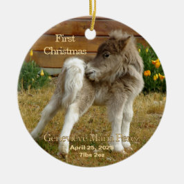 Baby's First Christmas Pony in Poppies Ornament