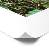 Babys in Borneo Poster (Ecke)