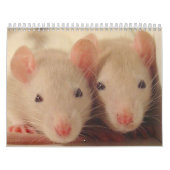 Babys Kalender (Titelbild)