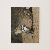 Babys von Bobwhite aus dem Nordwesten am Teich zum Puzzle (Vertikal)