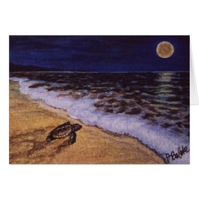 Babyschildkröte am Strand von Costa Rica (Vorderseite (Horizontal))