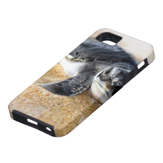 Babyschildkröte. iPhone Hülle (unten)