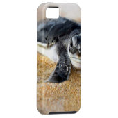 Babyschildkröte. iPhone Hülle (Rückseite/rechts)