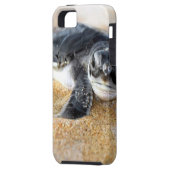 Babyschildkröte. iPhone Hülle (Rückseite Links)