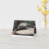Babyschildkröte notecard (Ermutigung) Karte (Gelbe Blume)