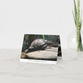 Babyschildkröte notecard (Ermutigung) Karte