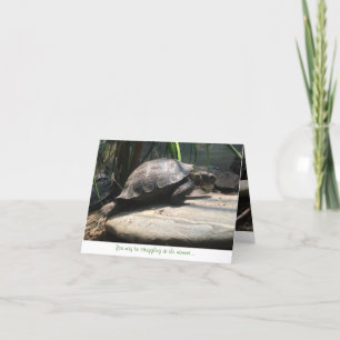 Babyschildkröte notecard (Ermutigung) Karte