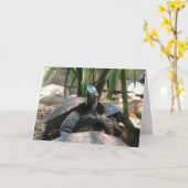 Babyschildkröten-Grußkarte #2 (Mitteilung nach Karte (Gelbe Blume)