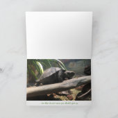 Babyschildkröten-Grußkarte (Ermutigung) Karte (Innenseite)