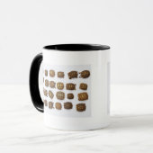Babyschildkröten vereinbart in den Reihen Tasse (Vorderseite Links)