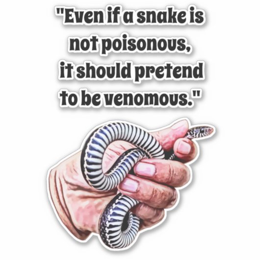 Babyschlangen-Reptilienziffern Kunst Aufkleber (Vorderseite)