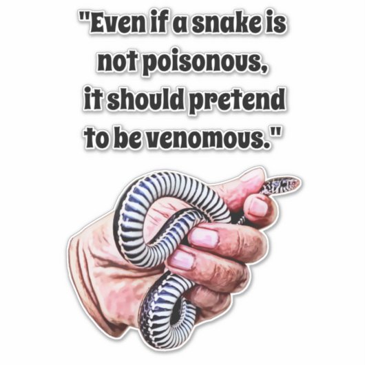 Babyschlangen-Reptilienziffern Kunst Aufkleber (Vorderseite)