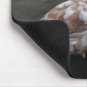 Babyschwan Mousepad (Ecke)