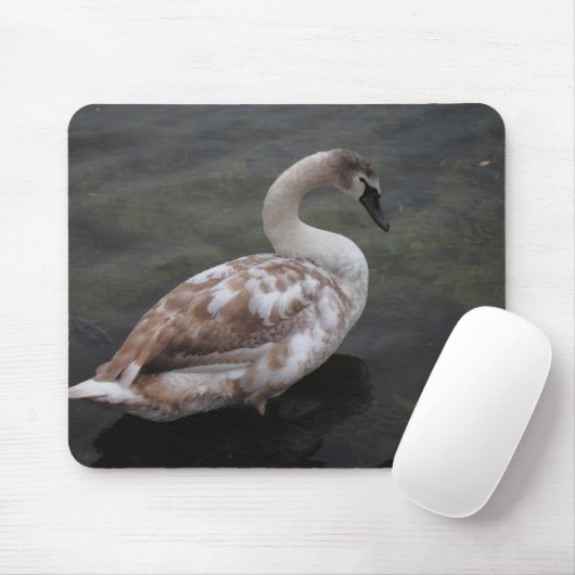 Babyschwan Mousepad (Mit Mouse)