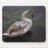 Babyschwan Mousepad (Vorne)