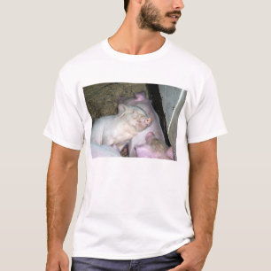 Babyschweine T-Shirt