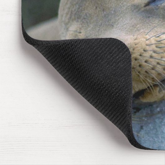 Babyseelöwe, Galapagos-Inseln Mousepad (Ecke)