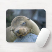 Babyseelöwe, Galapagos-Inseln Mousepad (Mit Mouse)