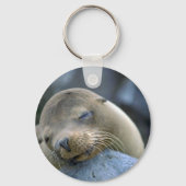 Babyseelöwe, Galapagos-Inseln Schlüsselanhänger (Vorderseite)