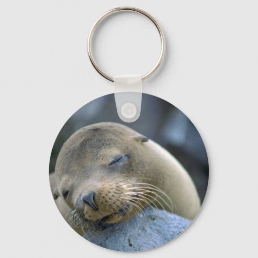 Babyseelöwe, Galapagos-Inseln Schlüsselanhänger (Vorderseite)
