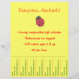 Babysitter-Flyer - Ladybug Flyer