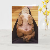 BabyThor die Bulldoggen-Gruß-Karte Karte (Gelbe Blume)