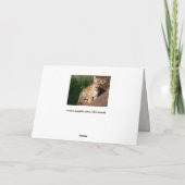 Babytiger-Grußkarte Karte (Rückseite)