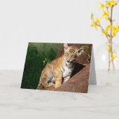 Babytiger-Grußkarte Karte (Gelbe Blume)