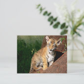 Babytiger-Postkarte Postkarte (Stehend Vorderseite)