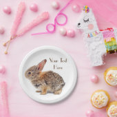 Babytrappe Pappteller (Party)