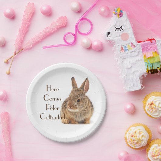 Babytrappe Pappteller (Party)