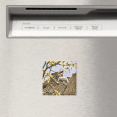 Babyuchsen und Mutteruscheln in einem Nest Magnet (In Situ (Geschirrspüler))