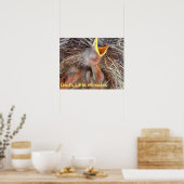 Babyvögel - Gottes kleine Wunder Poster (Küche)