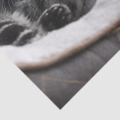 Babywaschpapier Seidenpapier (Detail)