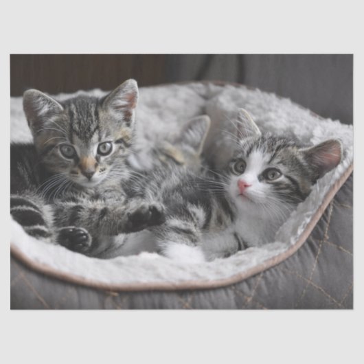 Babywaschpapier Seidenpapier (Vorderseite)