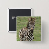 Babyzebra-Quadrat-Button Button (Vorne & Hinten)